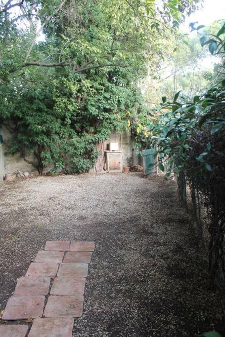 La Casa Di Ornella Daire Roma Dış mekan fotoğraf